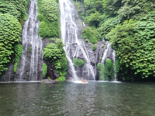 Bali jungle waterfall