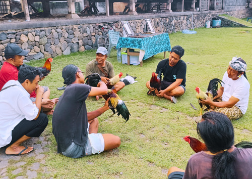 Tenganan village - Bali