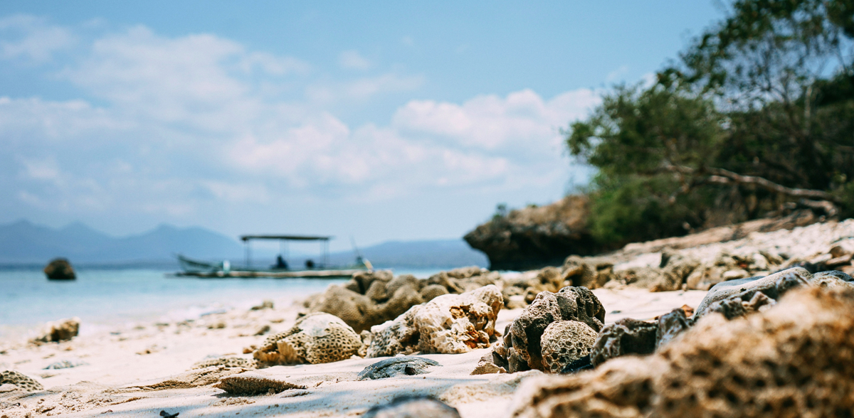 Menjangan beach