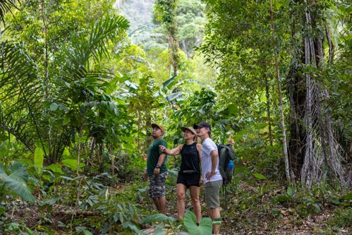 Go on tour with our local guides