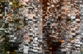 Bali Statue Ganesh Culture