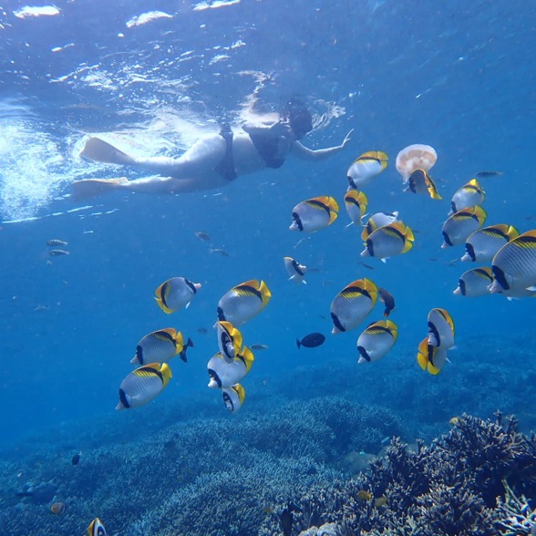 20 Lembongan Manta 6