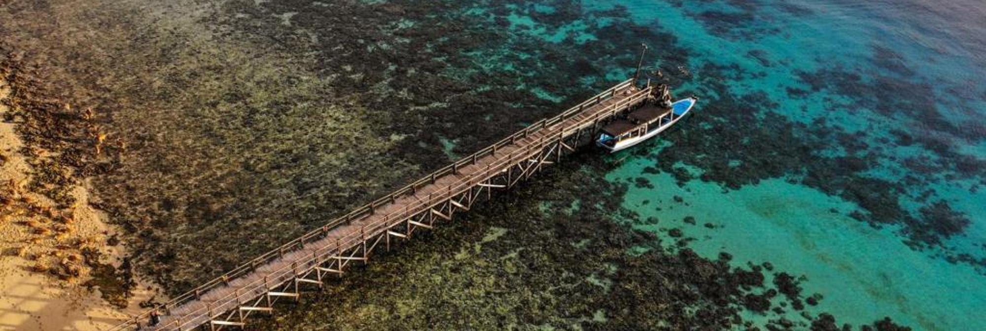 Nusabay Port 1