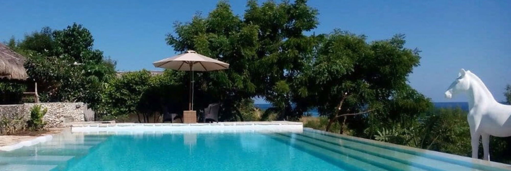 Mario Hotel Sumba Indonesia Swimming Pool