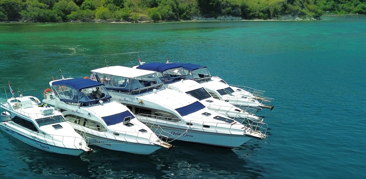 Seat‑in‑Coach Speedboats cruises