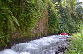 Rafting Ubud