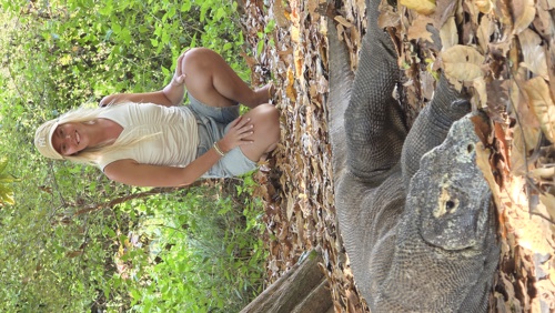 Visit the dragons at Komodo Island