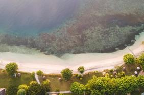 Pearl Beach 6