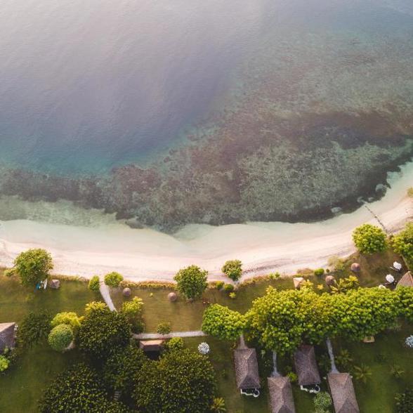 Pearl Beach 6