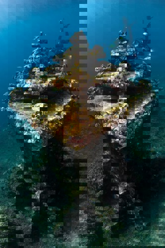 Amed underwater diving