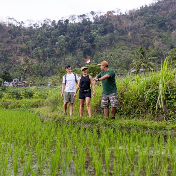 Bali Highlights Trekking 08 Large