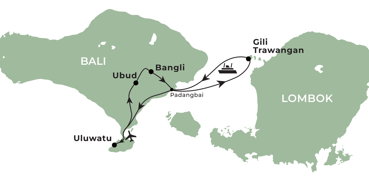 06 Highland And Sea Turtles