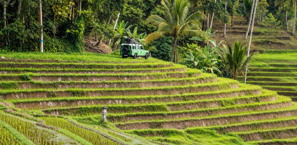 Jeep Safari Rice Terraces Bali