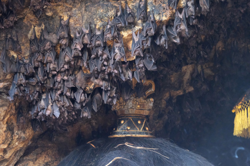 Bat Cave Pura Goa Lawa