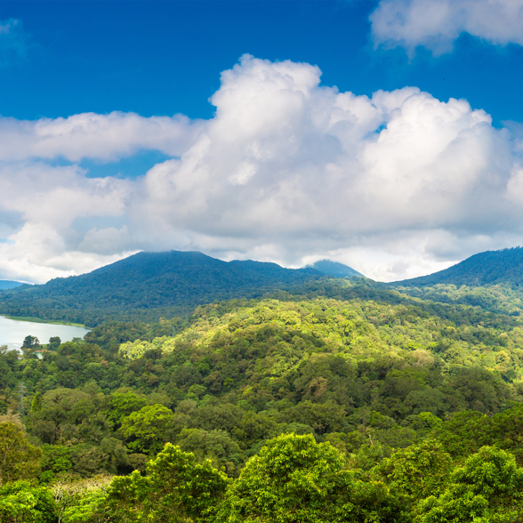 Tamblingan Lake