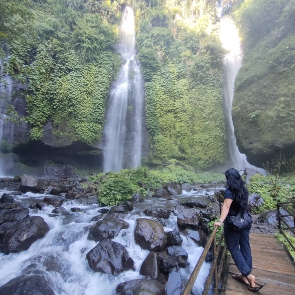 Fiji Waterfall 04