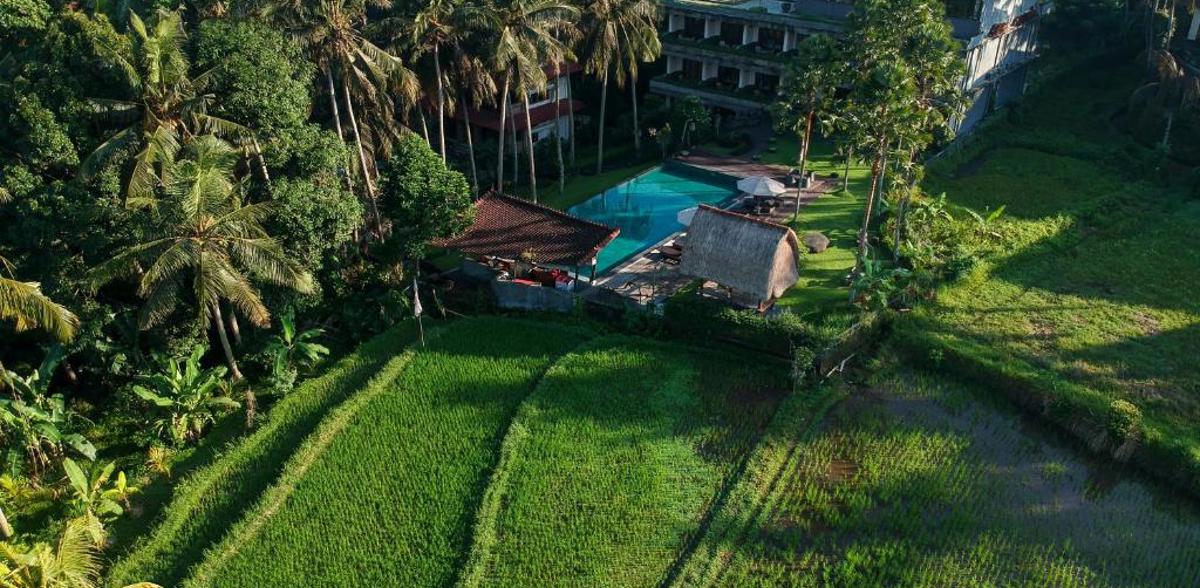 Stay in the middle of the rice fields