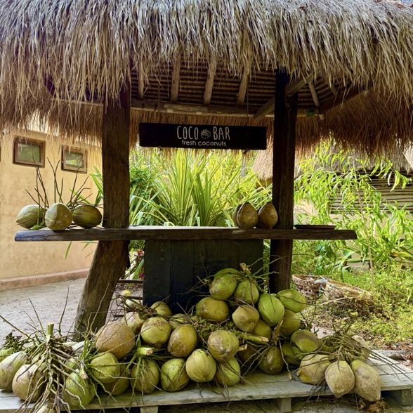 Coconut bar