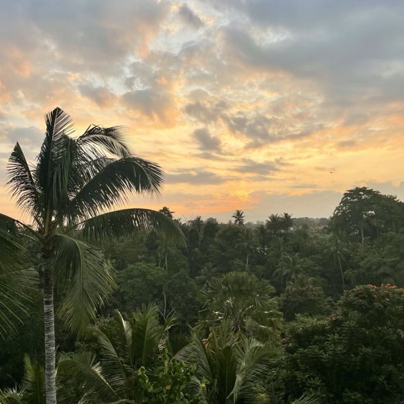 Ubud sunset view