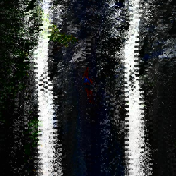 Follow your guide in the jungle