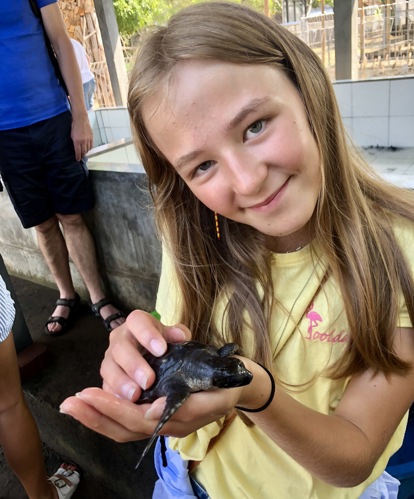 Turtle sanctuary Sanur