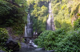 Fiji Waterfall Bali