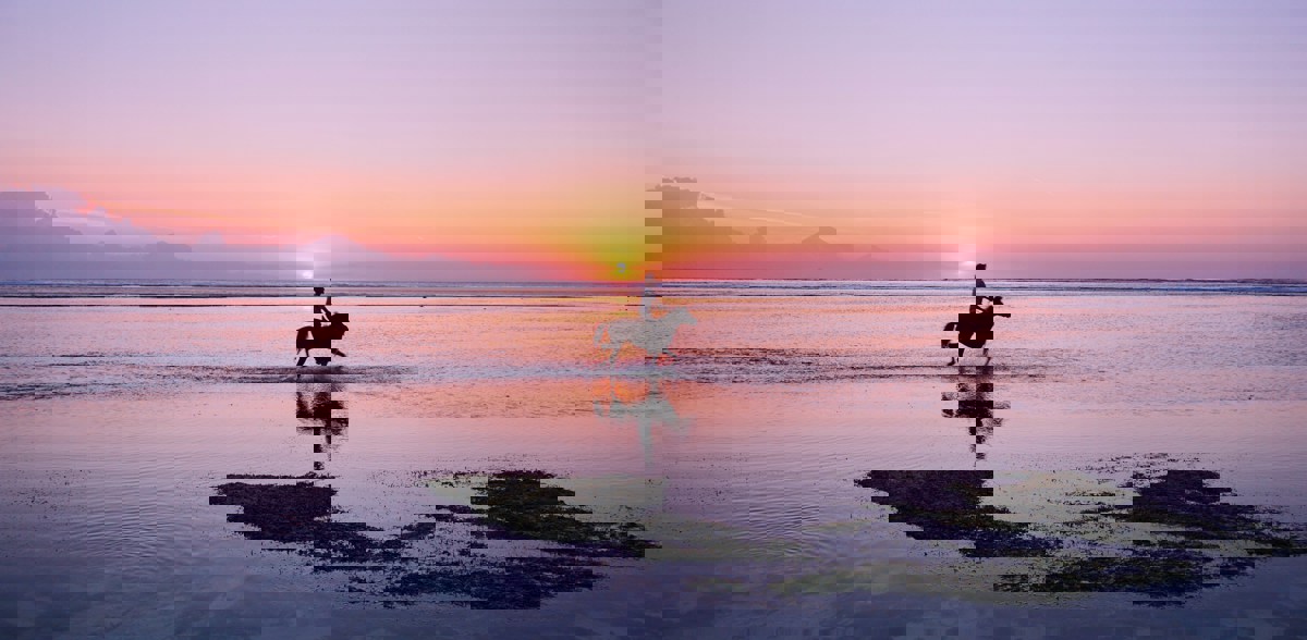 Horse riding on Gili Trawangan