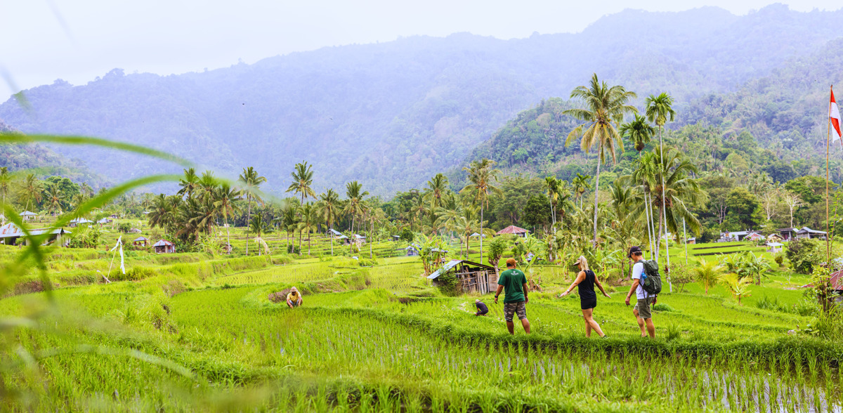 Go trekking with local guide